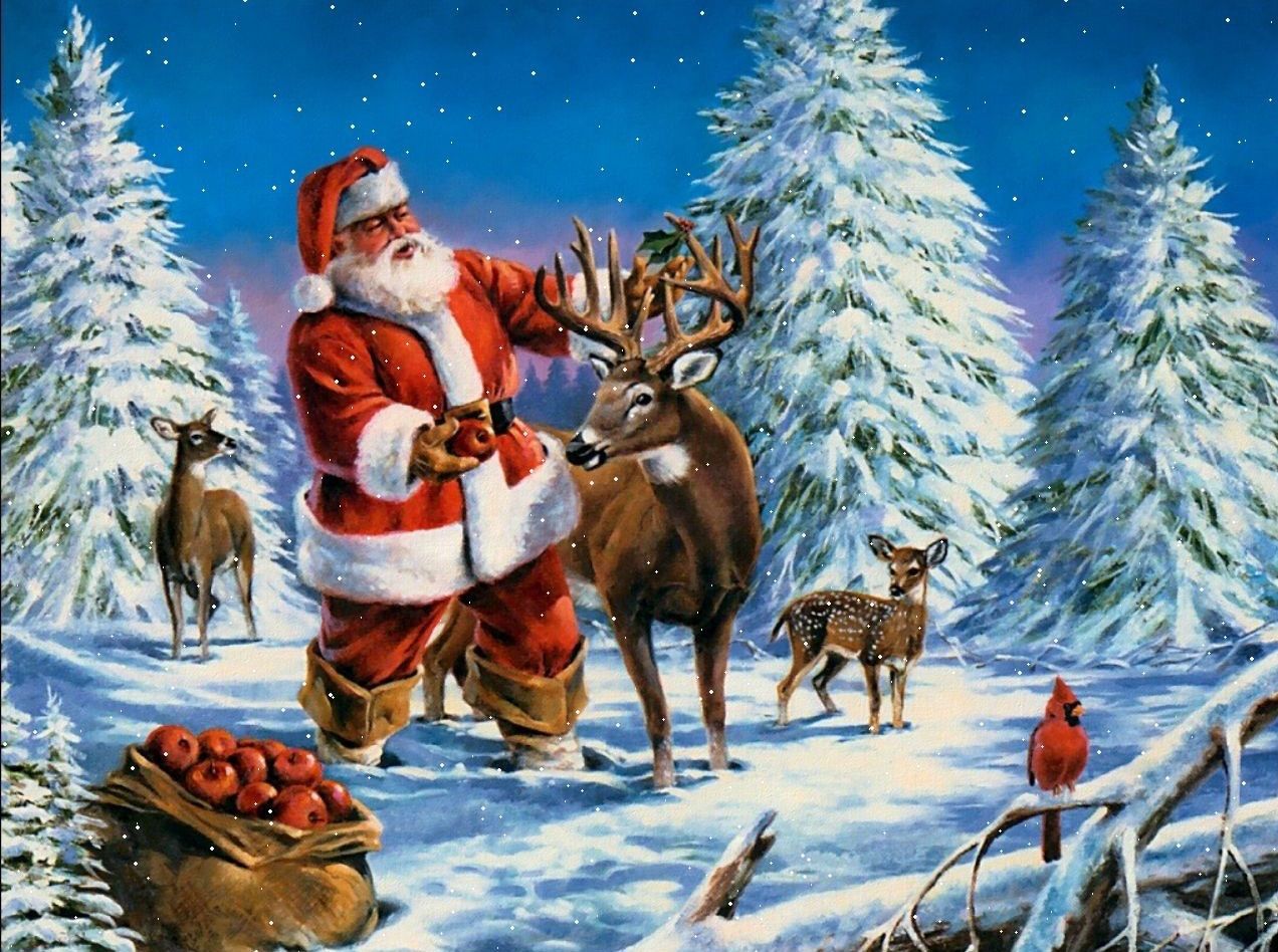 Crazy Christmas - Weihnachten Bei Santa Claus [2001 TV Movie]